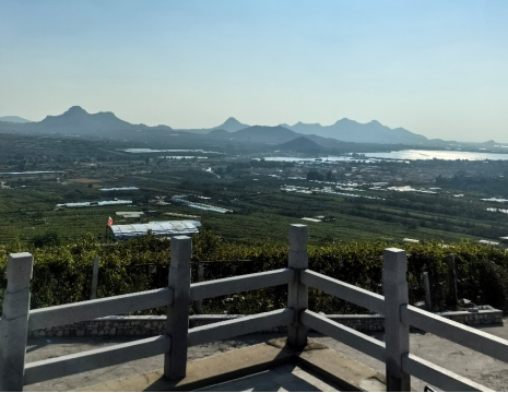 平度大澤山葡萄園引進(jìn)萊恩德土壤肥料檢測(cè)儀， 輕松掌握土壤營(yíng)養(yǎng)